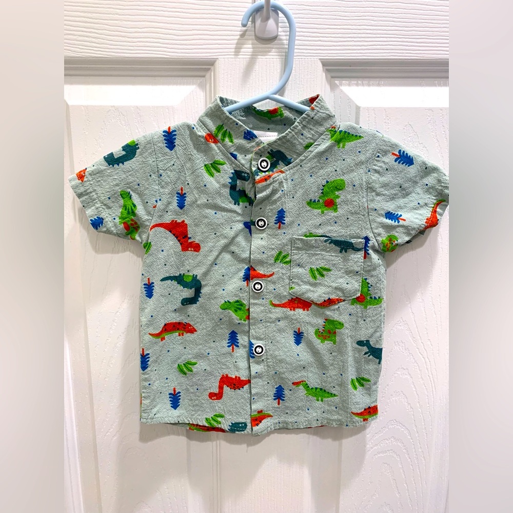 Boys button up dinosaur collard shirt.